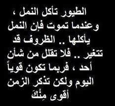 ¯−ـ‗ऊ_»جونيتا «_ऊ‗ـ− (@38788ace86b941e) on Twitter photo 