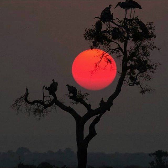 My Underu (@underutoo) on Twitter photo 