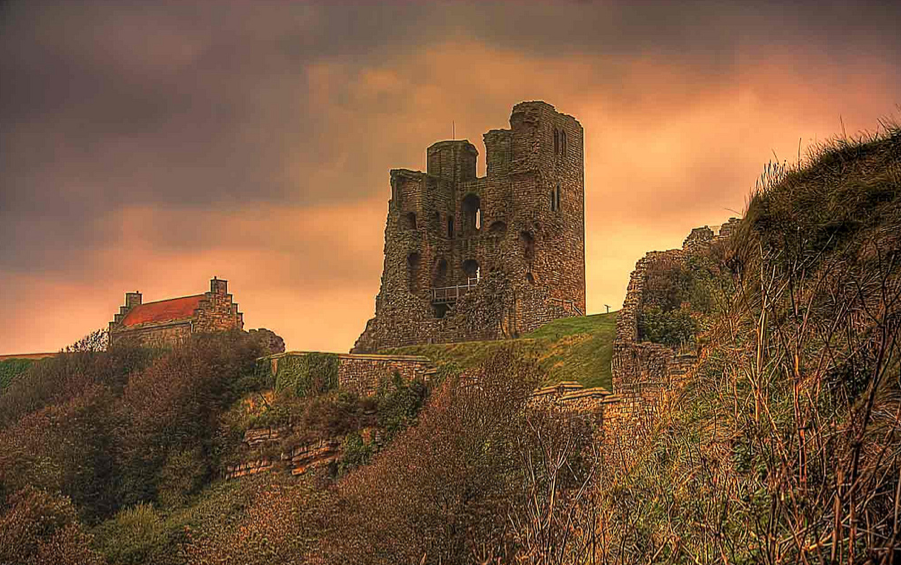 BUZZYORKSHIRE tweet media