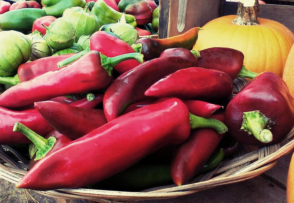 springkitefarm's tweet photo. Thanks Dan Hobbs of Farm Direct Seed for these awesome Pueblo chiles. Check them out at our #farmstand https://t.co/6q5x8MfKlj
