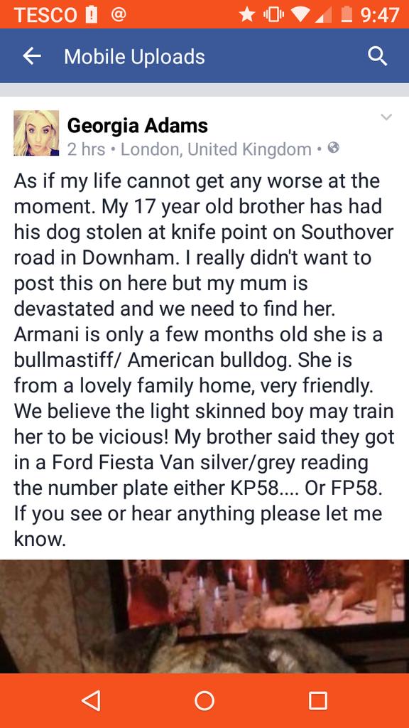 RPOmeuk's tweet photo. @TheSun Stolen tonight at knife point between 5/6 o'clock please RT and make her to hot to handle https://t.co/yttQEXmA6c