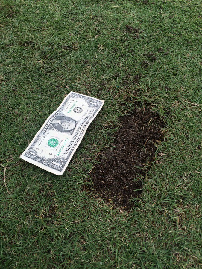 [divot]