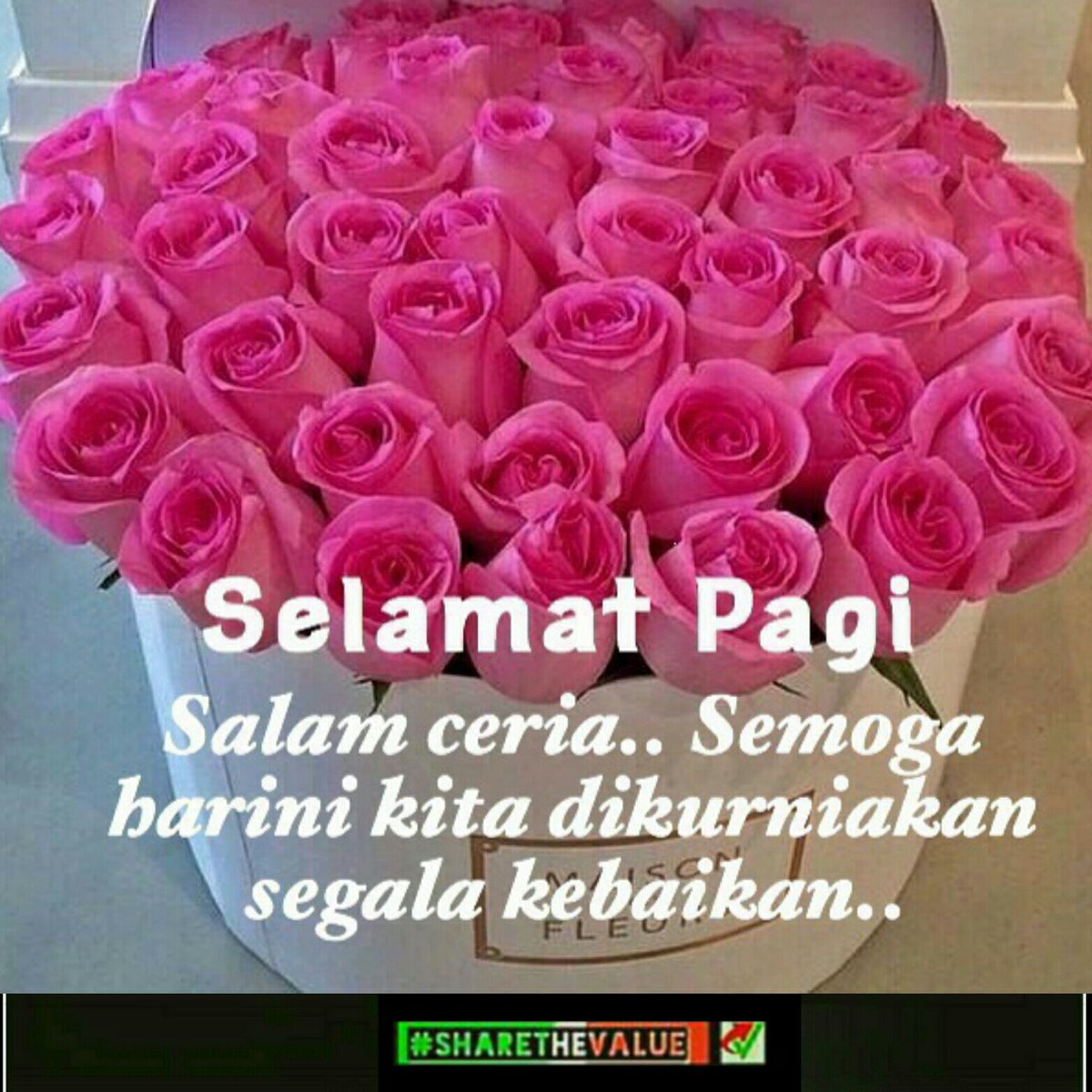 STARBOSS ™ tweet media