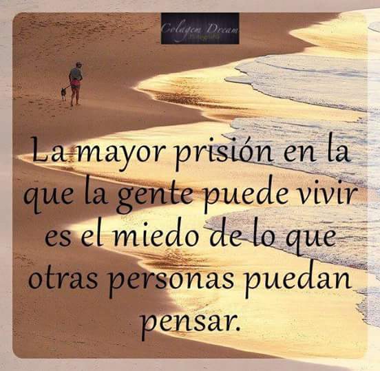 wen1783's tweet photo. Es verdad es verdad @wen1783 https://t.co/reWFd2C0Mo