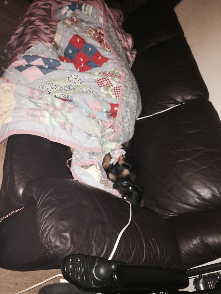 Miss my puppy Gin.