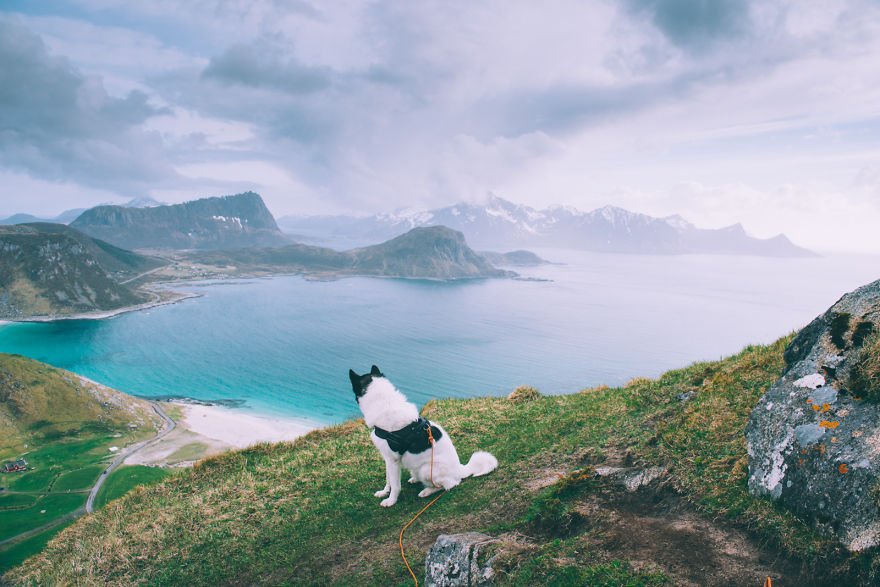 Meet the man who quit his job to hike across Norway with his dog bit.ly/1ksTy3g
