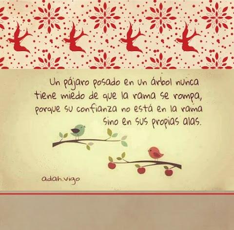 KeynerYecid tweet picture