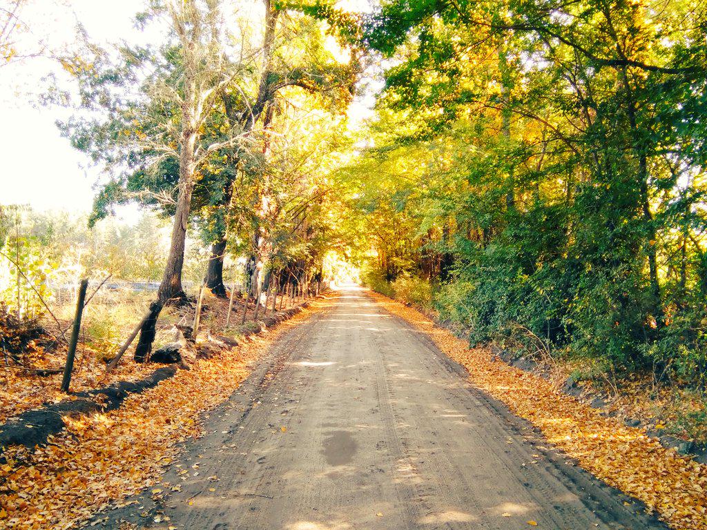 Fundo San Cristobal tweet media