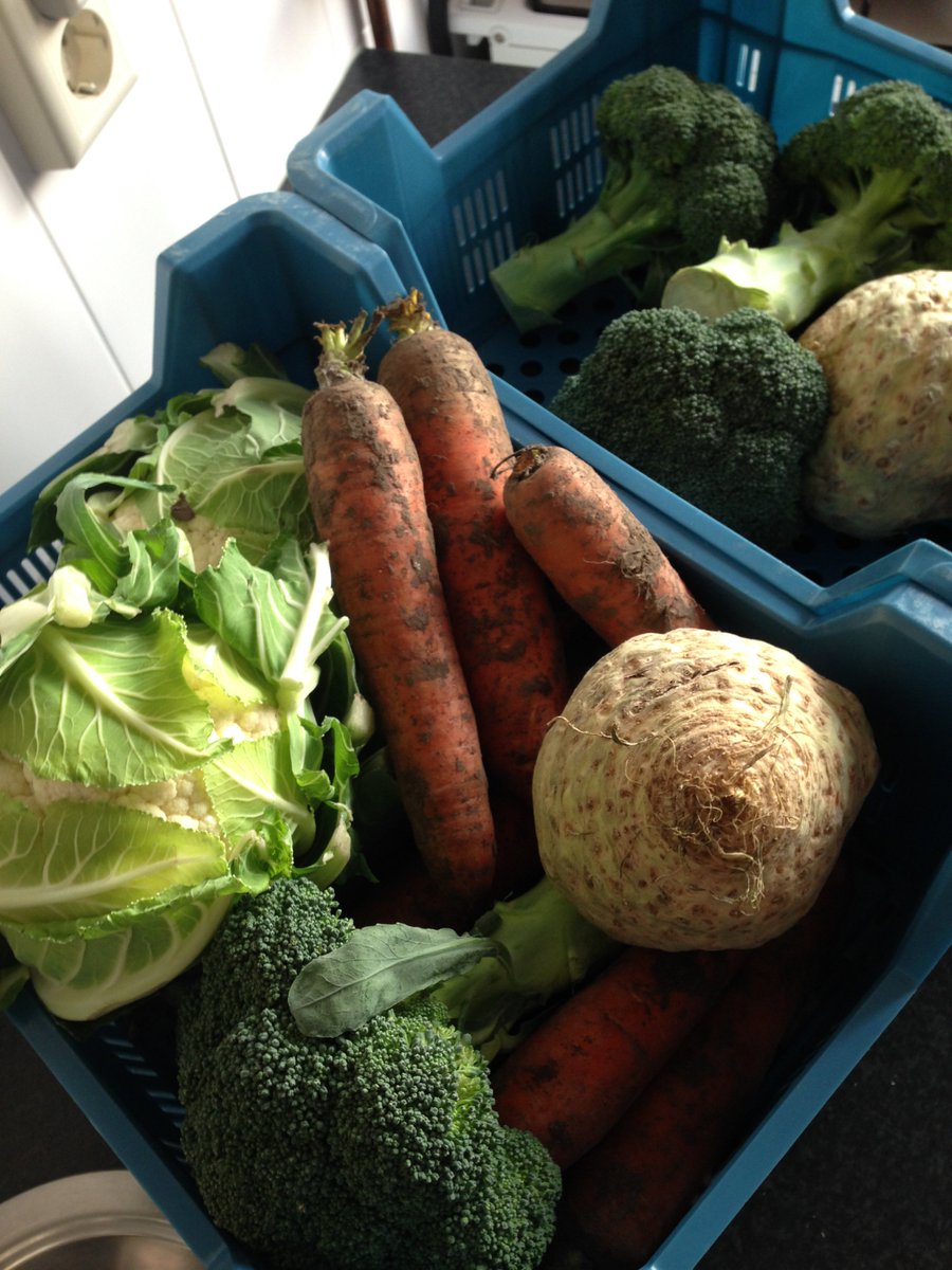 SOBIO_logisch's tweet photo. Prepairing for this weekend! You will find us at #dehallenamsterdam #localgoodsmarket https://t.co/pzSsEYRbsc