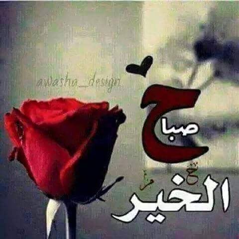 kaledkk231's tweet photo. https://t.co/B28d8H12Ox