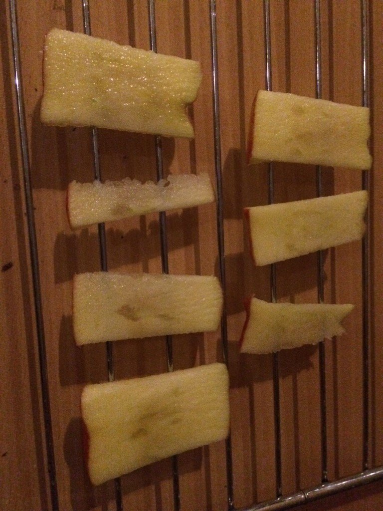 TheEdibleInsect's tweet image. New experiment starting today - feeding mealworms on dehydrated apple.