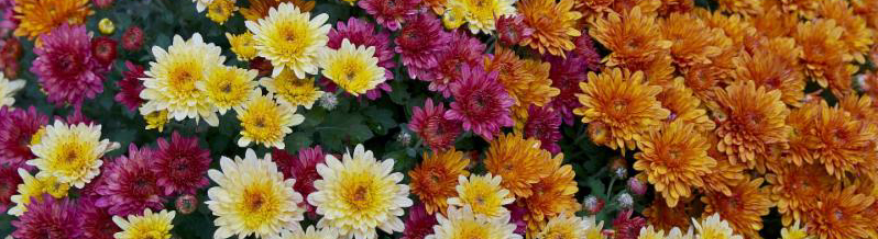 End of Season conta.cc/1MSdbN5