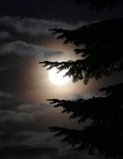 NcDeMaashorst's tweet photo. Nacht van de nacht. zaterdag 24 oktober 19.00/
De Maashorst in het donker.Ga mee als je durt
https://t.co/0qkDL5Le6r https://t.co/eC4i5ro5LP