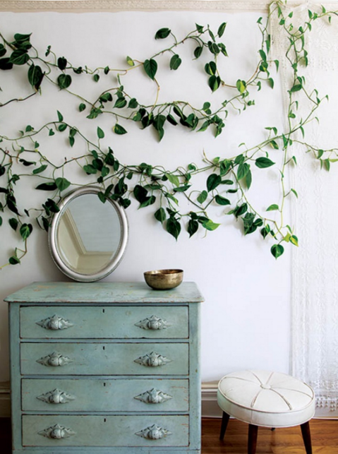 plantebonheur's tweet photo. Comment créer son paysage intérieur ? https://t.co/395SHWmaG9 #design #plante #passionnant #Rootedindesign https://t.co/eHeeHSGCpj