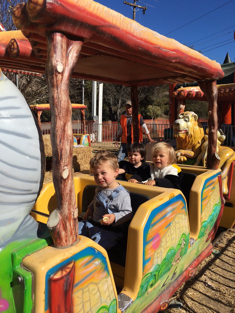 TheStickyCheeks's tweet photo. First #trainride without my mama and with the boys only! #pumpkinpatch #trainlove #allgrownup https://t.co/zlSh3OnoZp