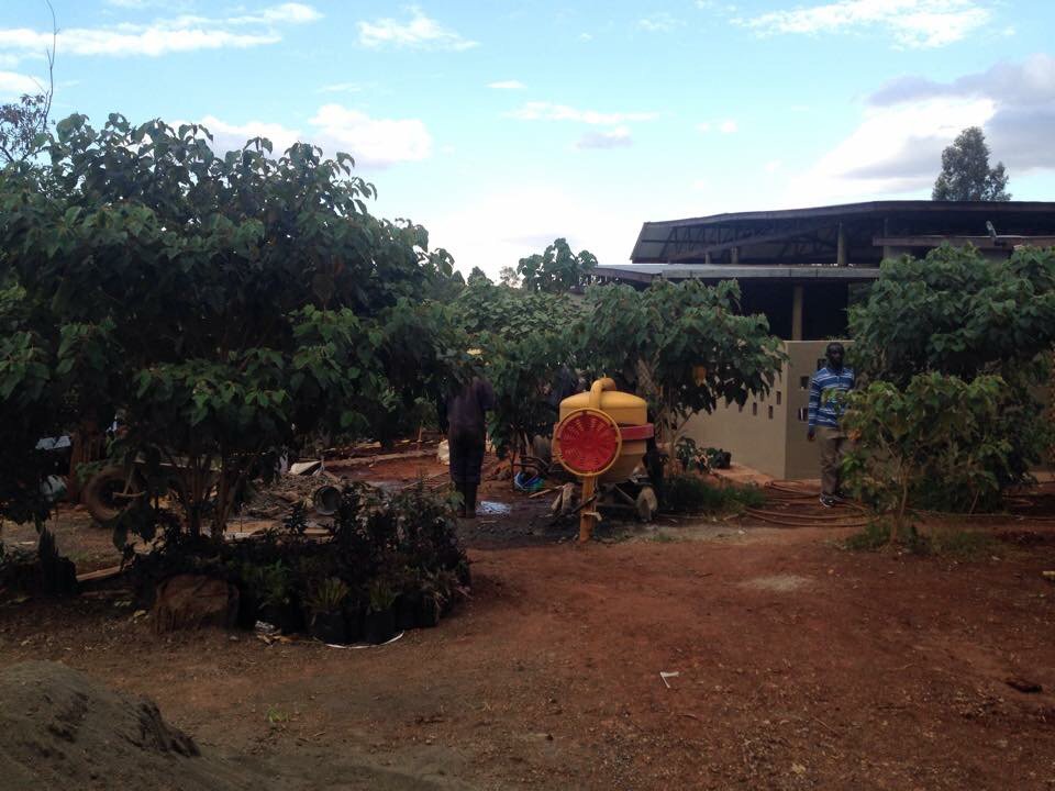 RobertAlai's tweet image. President Uhuru's sisters (Sophie &amp;amp; Joy Pratt) have grabbed Karura forest and are building an ugly restaurant in it