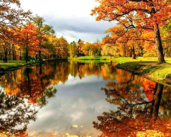 Хороший осени картинка. Осенняя природа. Осенний пейзаж. Октябрь природа. Красивая осень.