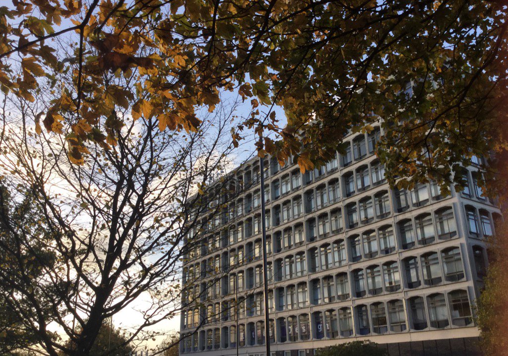 wlv_uni's tweet image. It's a beautiful evening in Wolverhampton tonight... perfect opportunity to take some #WLVAutumn snaps 🍂🍃🍁