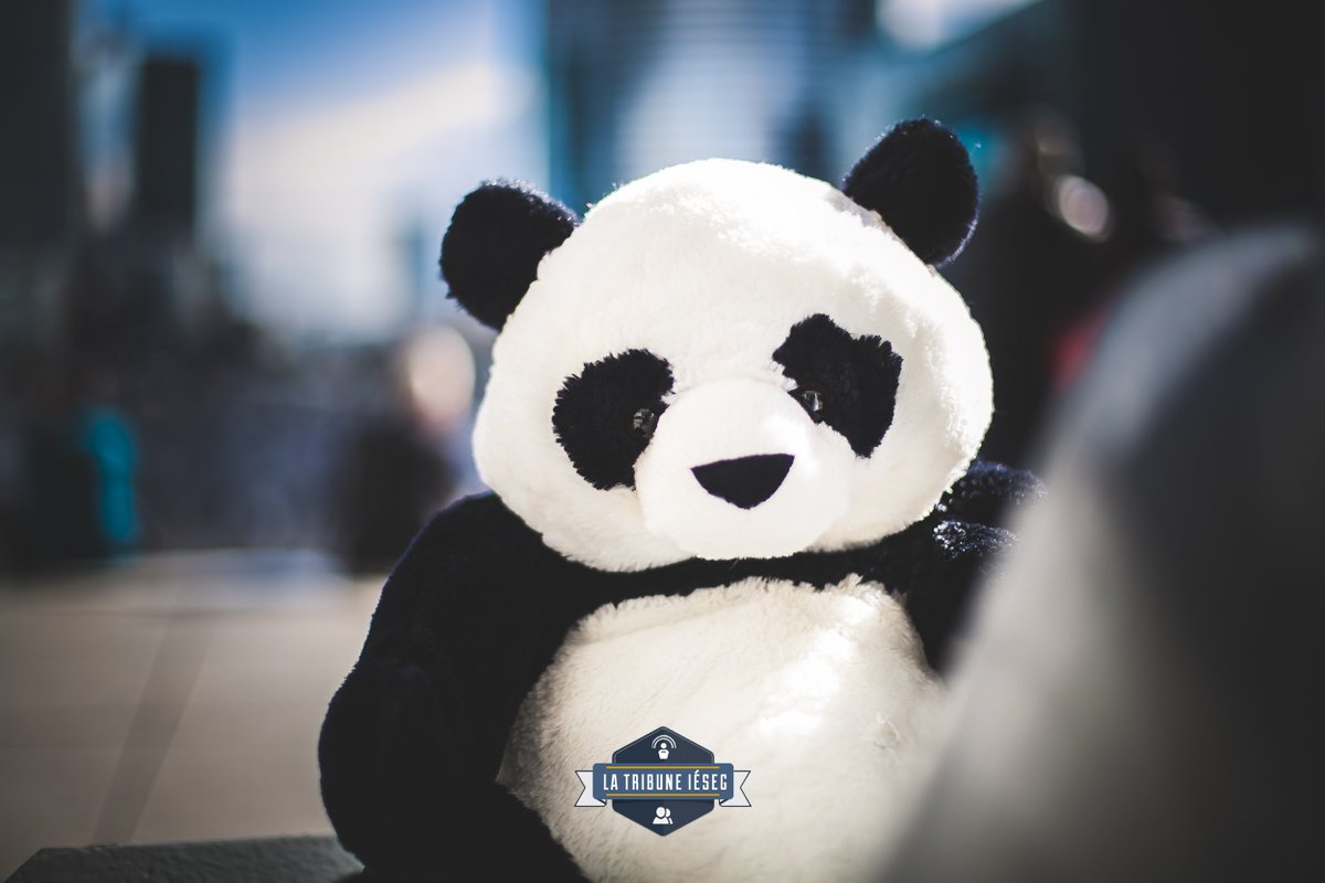 Merci à <a href="/WWFFrance/">WWF France 🐼</a> pour cette conférence des plus passionnantes, on vous dit à bientôt! #CAFEPANDA_IESEG #CAFEPANDA