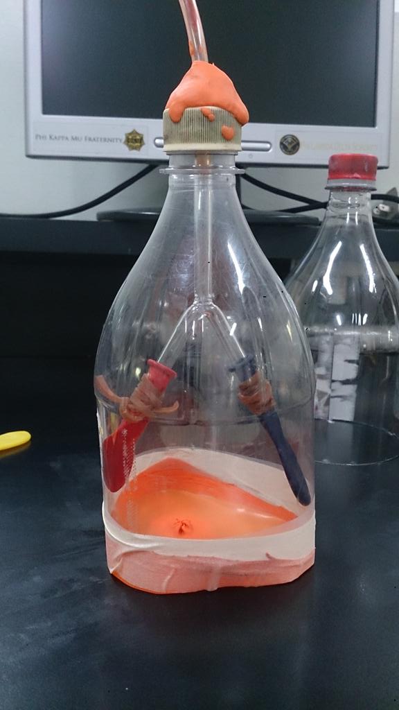 bukopandaaaan's tweet photo. First time to make a lung model earlier today 😄 my childhood is complete AHAHAHA. #sorrynotsorry #os205 https://t.co/aVkrMmHt0F