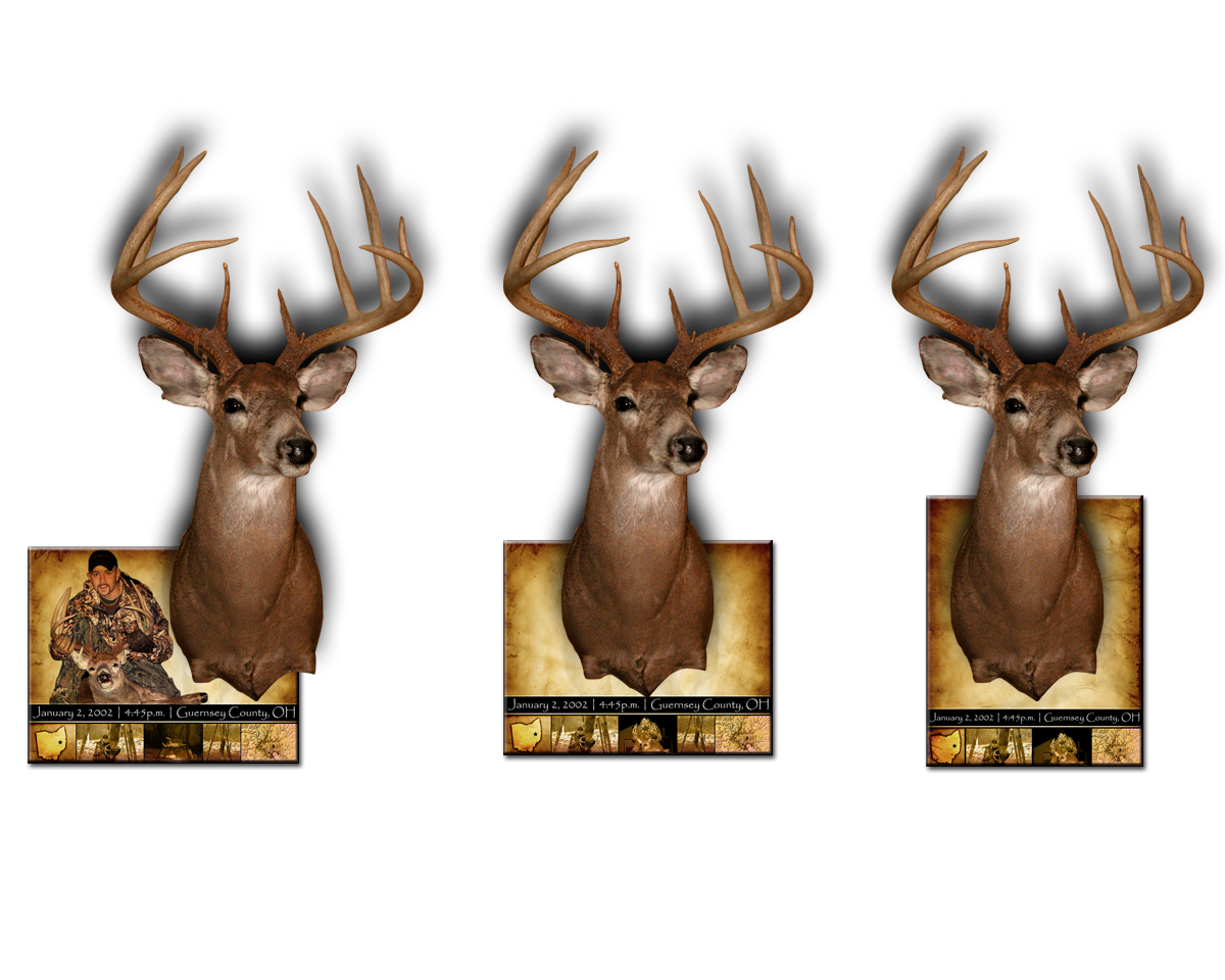 @RealCBrackett Go get that big ten and come see me, so we can slap him on one of these! #bigbuckdown #mountmate