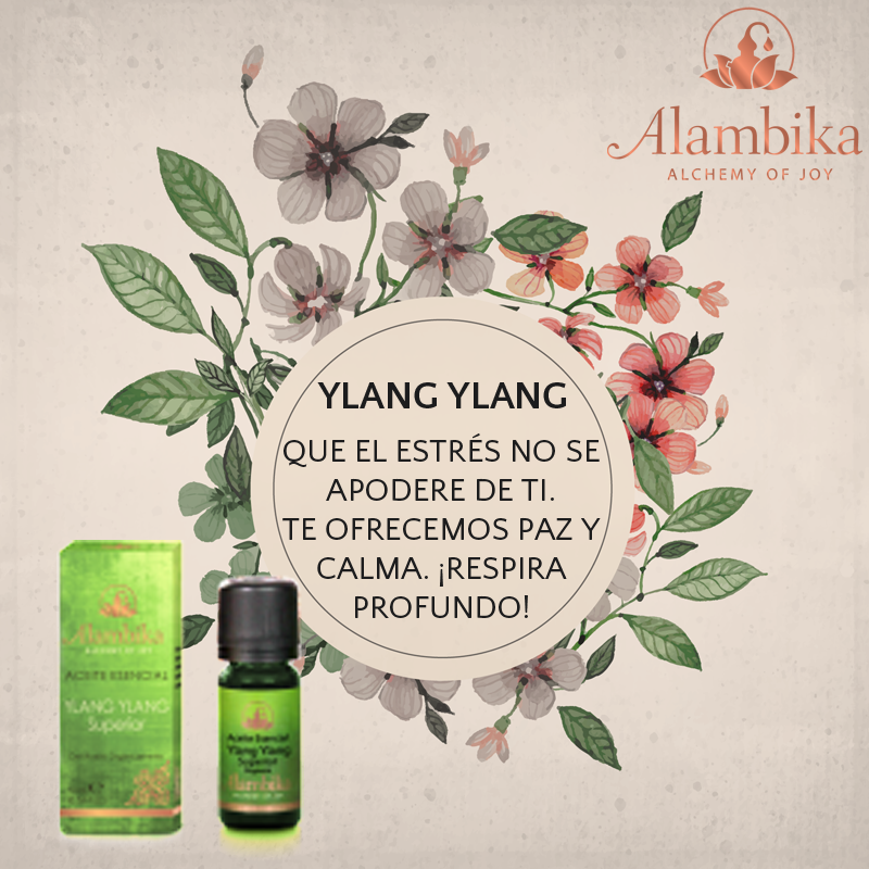 AlambikaMx's tweet photo. ¡Respira profundo! #FelizJueves #byealestrés #viverelax #aromaterapia https://t.co/WDFKlnllV1