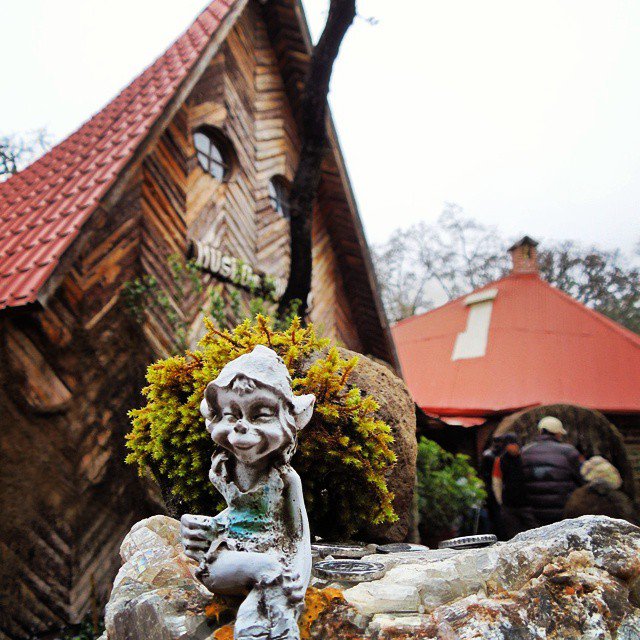 Álbumes 96+ Foto Fotos De Duendes En El Bosque Cena Hermosa