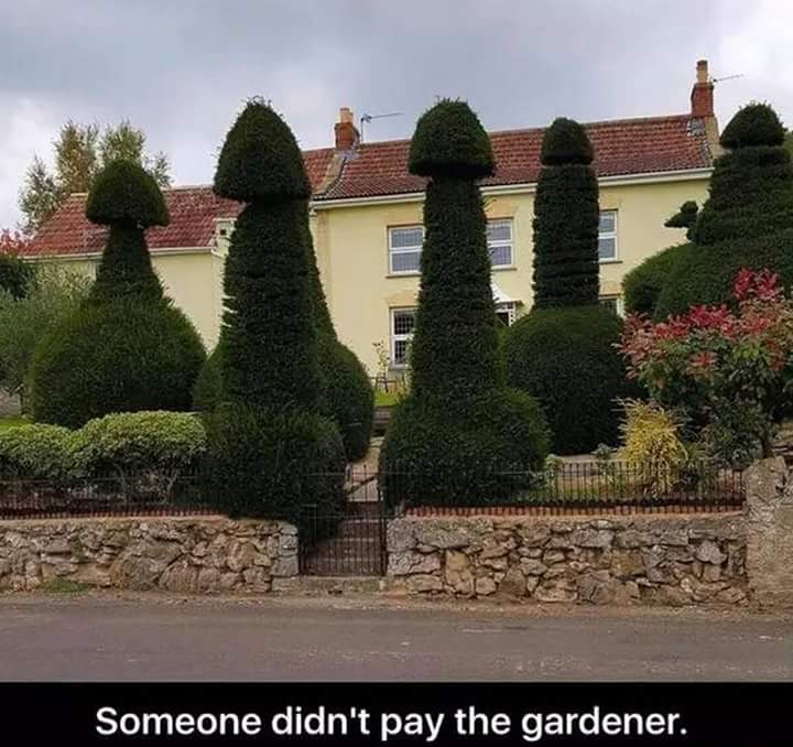 LaurelSchuett's tweet photo. My afternoon giggle π GA @HintonAlisa @sarahjaswim @SamsSecretAlias @Sheugs @pjl24 @barbaramills1 @OutlandishLove https://t.co/0gGiSkx2zd