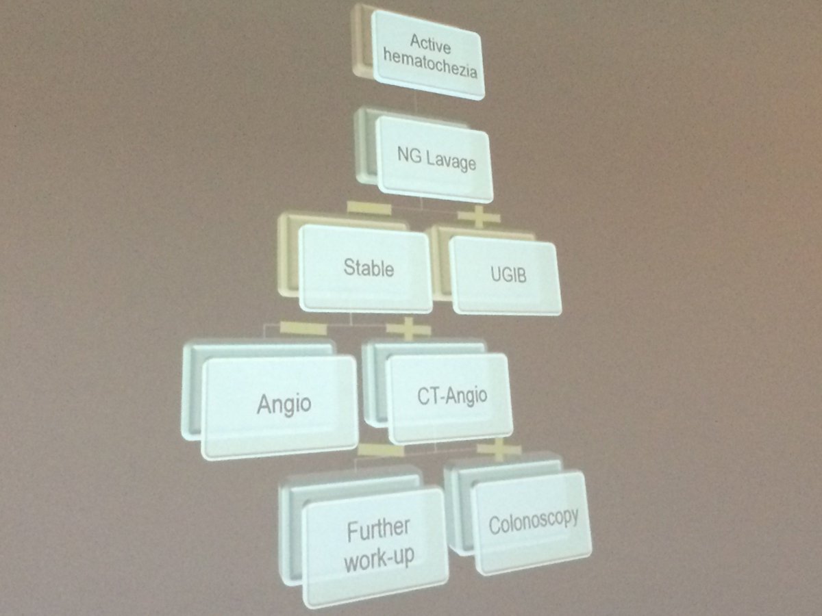 amalmattu's tweet photo. #TCP15 #FOAMed Joe Martinez' algorithm for lower GI bleed https://t.co/uG3KpfM8Vo