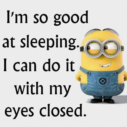 anke_vosloo's tweet image. 