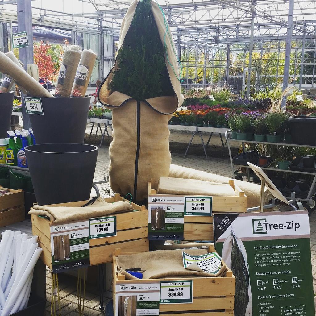 TREE-ZIP tweet media