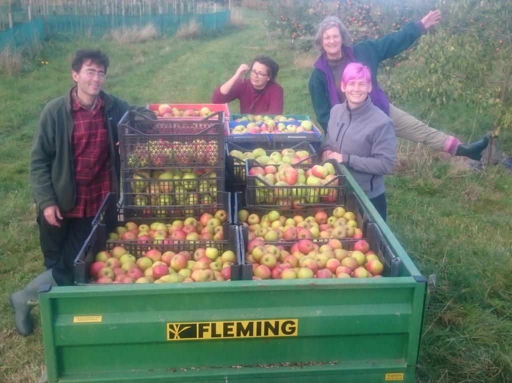 HazelhurstCSA's tweet photo. The bounty!!! https://t.co/uIhrkkJklQ