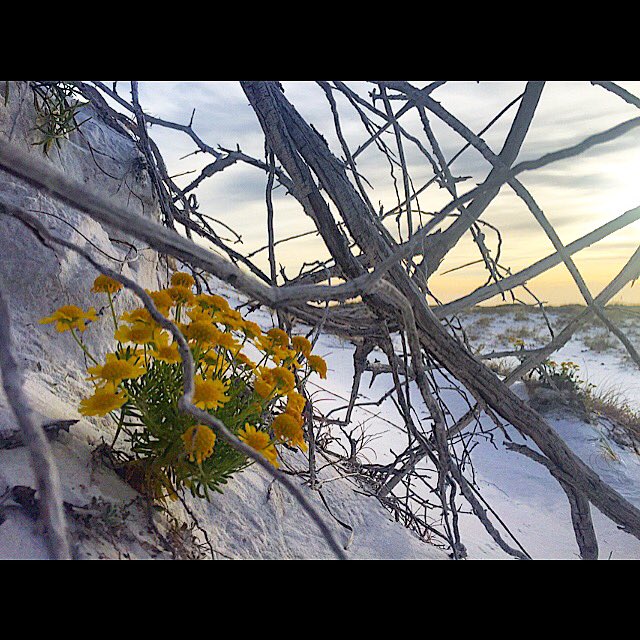 FishFryMagazine's tweet image. 