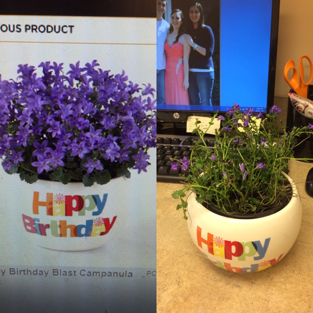 LaurDill's tweet photo. Unbelievable! What I ordered vs what showed up at my mothers office today. @ftdflowers #FAIL https://t.co/Kl7yADi7es