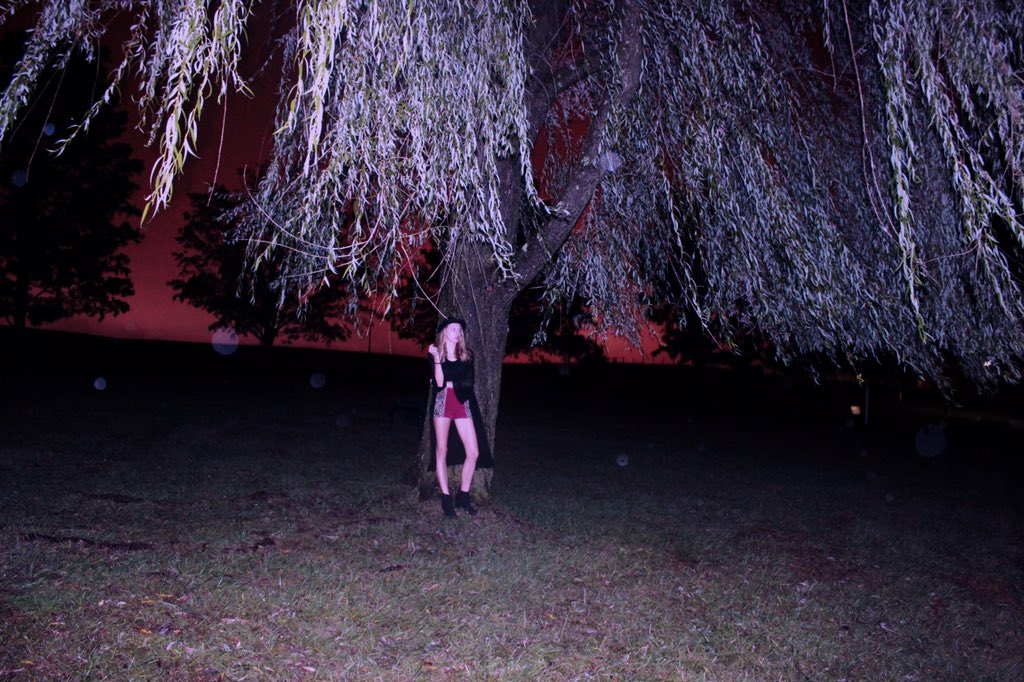 VTFMDS's tweet image. The FMDS Into the Wild Fashion Show 2016 will be here before you know it! Preview on Halloween 🍃🎃 #FMDS #IntoTheWild