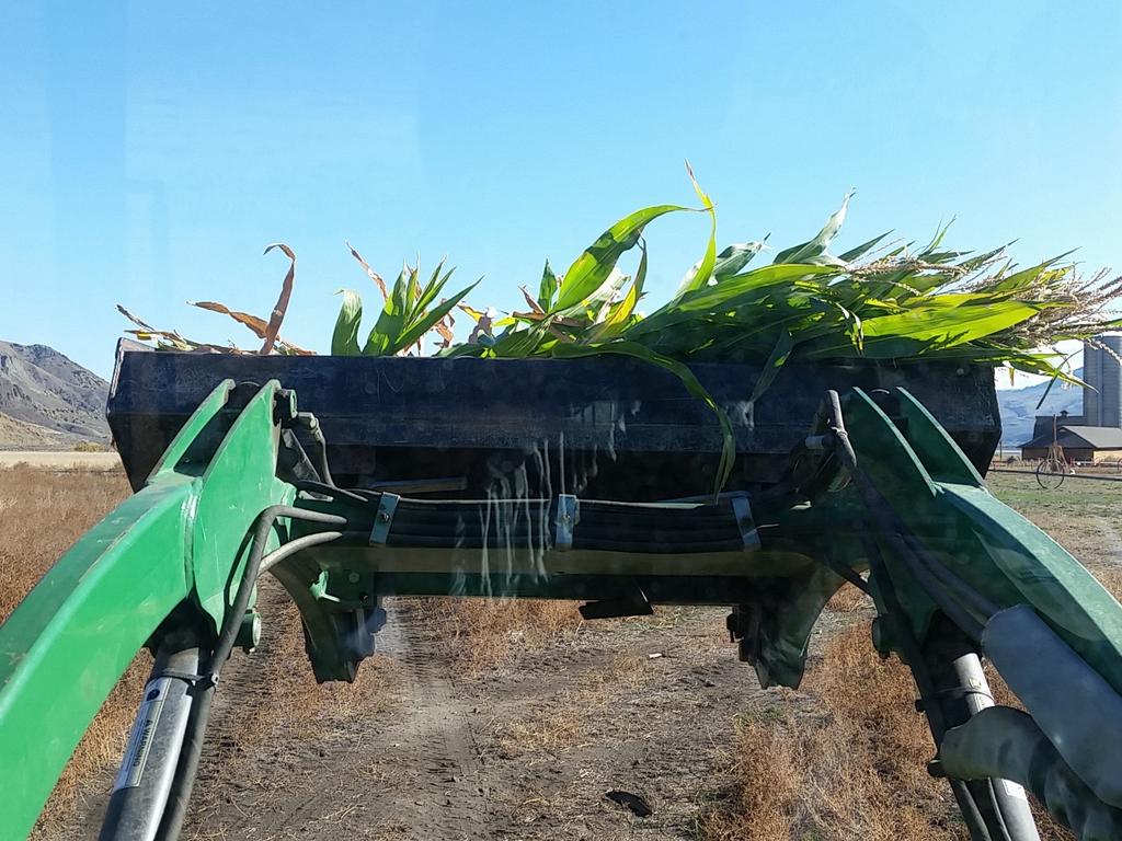 TranquilleFarmFresh (@tranquillefarmf) on Twitter photo 