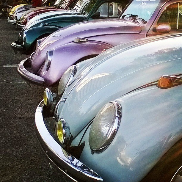 oldcar_photo's tweet photo. #fusca #fuscaclub #vw #oldvwclub #fuscamania #ratcar #oldcar #escarabajo #bug #carroantigo by antigos_ce https://t.co/usY4kYalHi