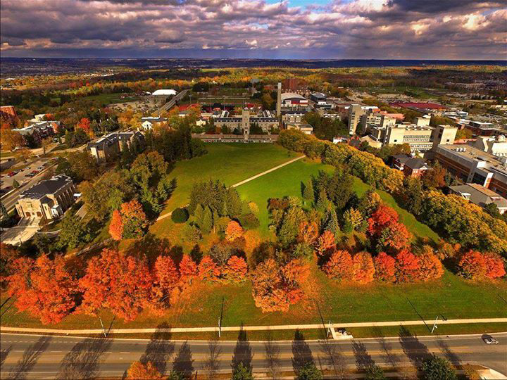 FlanaganRachel's tweet photo. Hey @GryphonsHockey take a moment to appreciate the beauty of your campus today! Photo: #willmartin @guelph_gryphons https://t.co/U8Mj9wHqzr