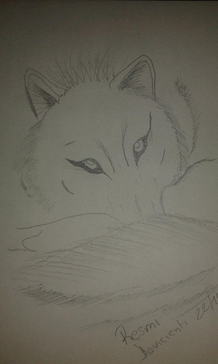 devicienti2014's tweet image. 