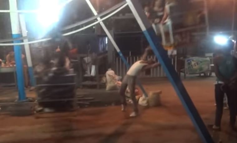 24HorasTVN's tweet image. Estos son los trabajadores más eficientes y rápidos del mundo. bit.ly/1Lpk9XJ