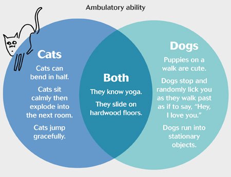 The differences and similarities between cats and dogs