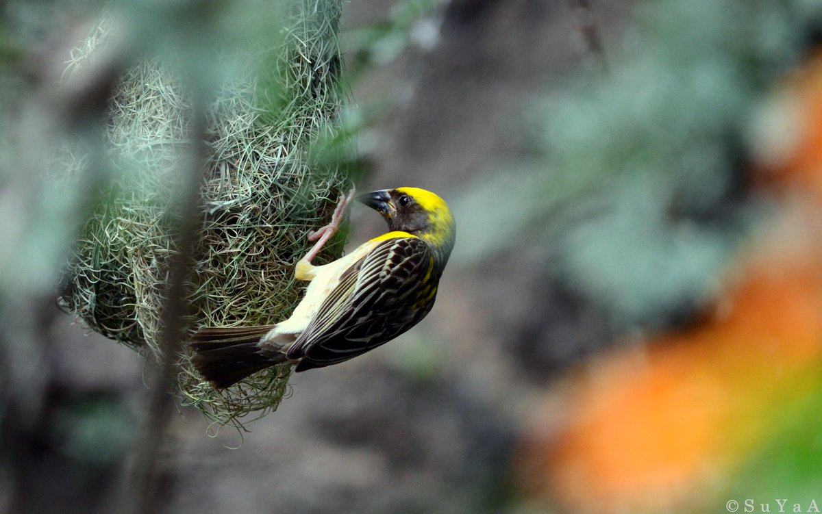 à¤¸ à¤à¤°à¤£ hashtag on twitter à¤¸ à¤à¤°à¤£ hashtag on twitter