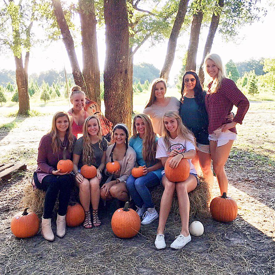 varsitysen16rs's tweet photo. Fall so hard motherpumpkins wanna spice me🎃 http://t.co/jqRZMHVnpU