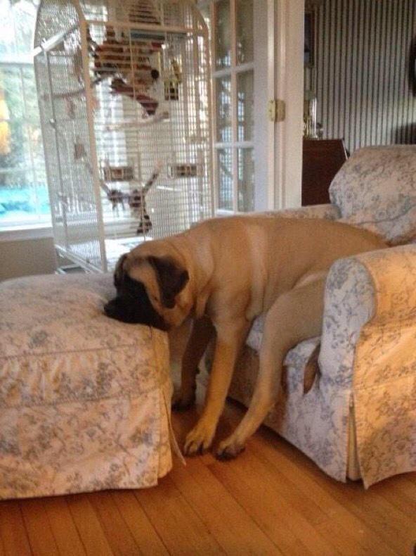 StumblerVideos's tweet photo. Stress level http://t.co/1kosdmUj7T