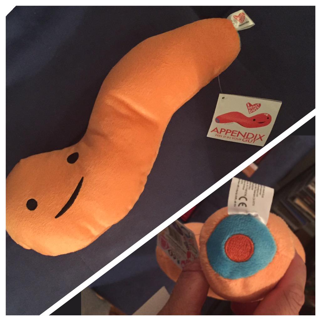 plush appendix