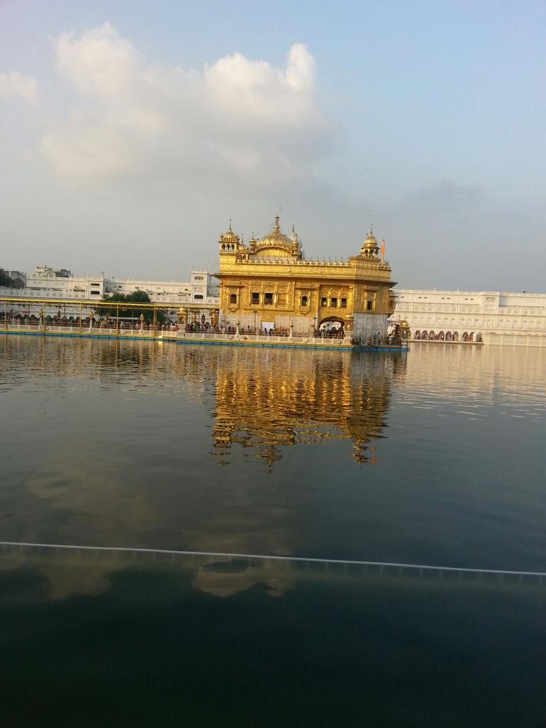 binakapur tweet picture