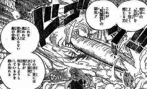 ワンピース 覇気とは 矛盾しているとの声も 覇気の種類や使える人一覧