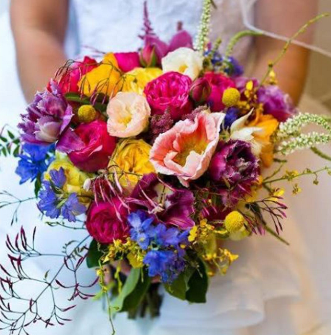 View by Sydney tweet media