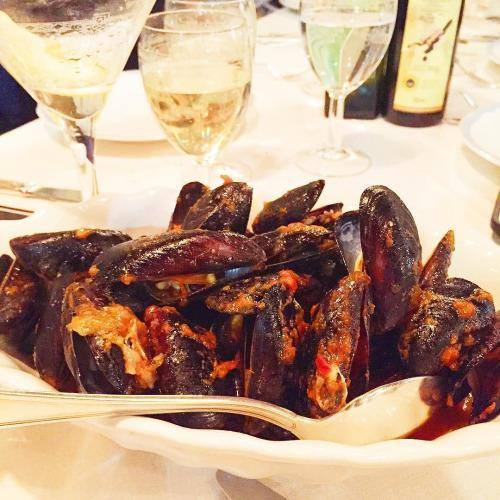 FoodPornDoctor's tweet photo. #ReTWeeT #FoLLoW * #Mussels in a rich #tomatobroth  #delish #cazzinVenice #cazzfooddiary #foodvsco #food #… … http://t.co/cCQggbdXa4