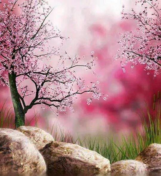 <a href="/pintsize73/">Marie</a> That's  A very pretty  picture  ,delicate blooms Some for you too!